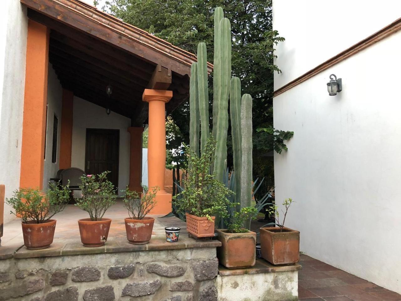 Las Alamedas Departamentos Centricos Con Estacionamiento Privado Гуанахуато Экстерьер фото
