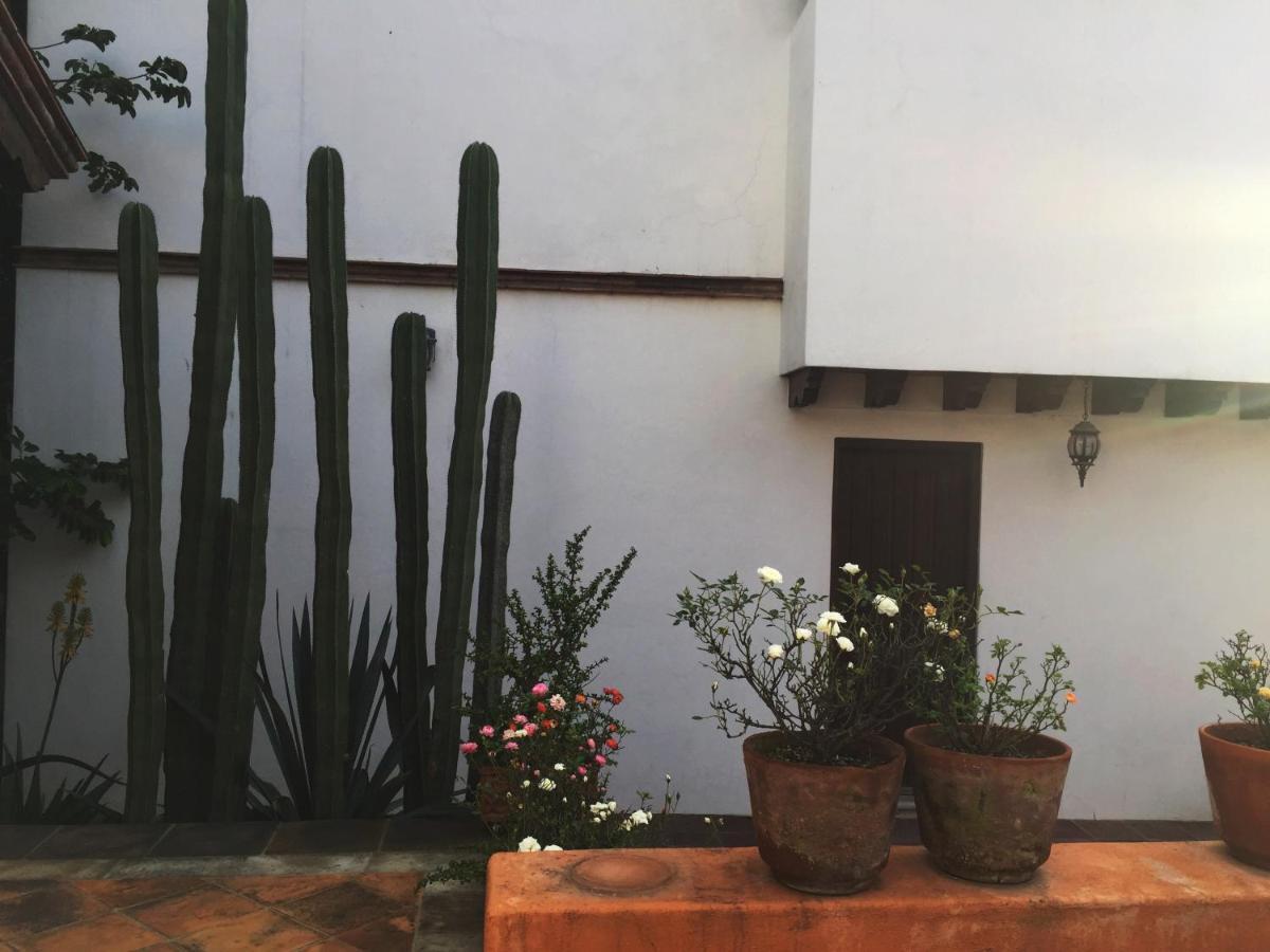 Las Alamedas Departamentos Centricos Con Estacionamiento Privado Гуанахуато Экстерьер фото